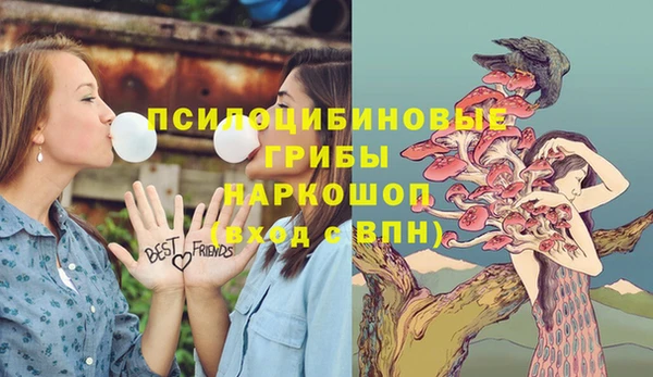 а пвп мука Костерёво