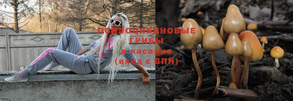 гидра Краснотурьинск