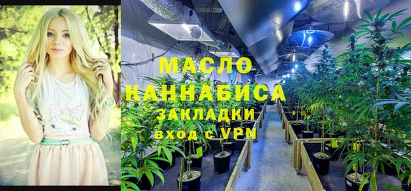 трава Корсаков